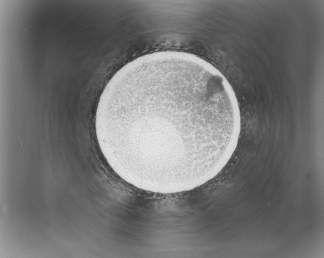 X0000068840769200606021708