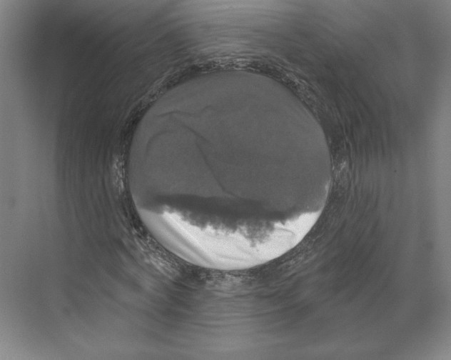 X0000068840772200606021708