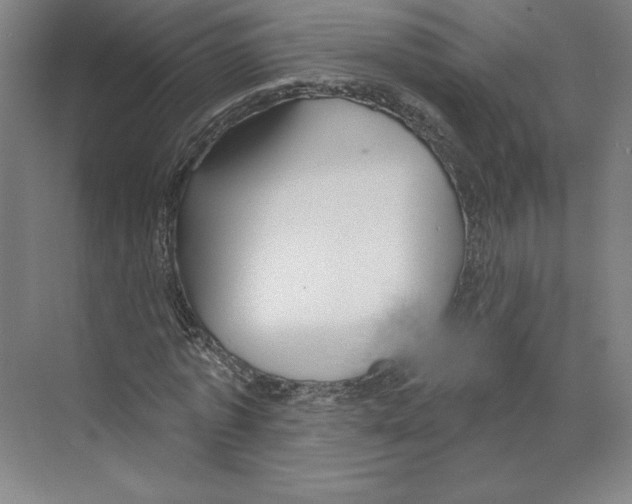 X0000068840773200606021708