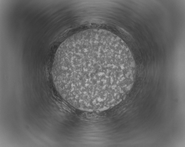 X0000068840774200606021708