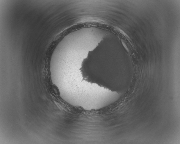 X0000068840775200606021708