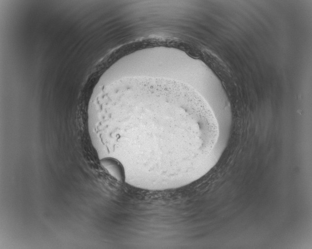 X0000068840776200606021708