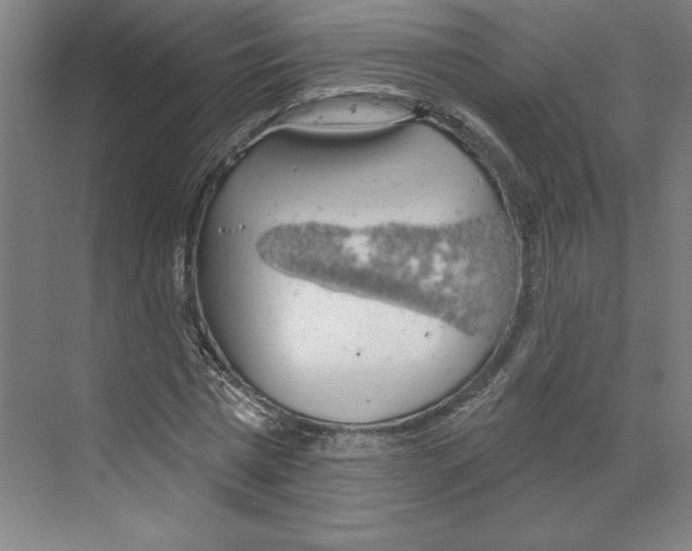 X0000068840777200606021708