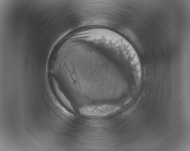 X0000068840780200606021708