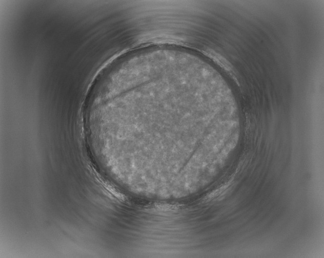 X0000068840782200606021708