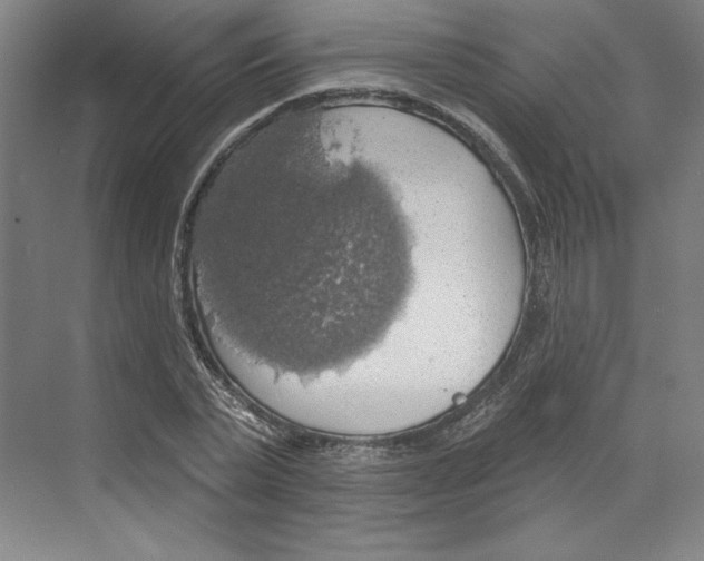 X0000068840783200606021707