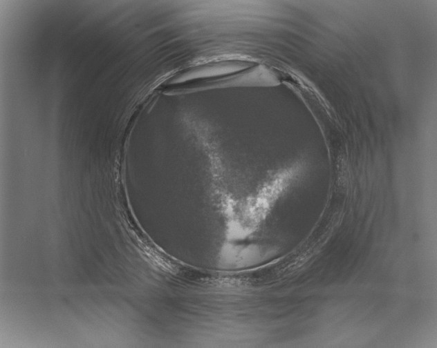 X0000068840785200606021707