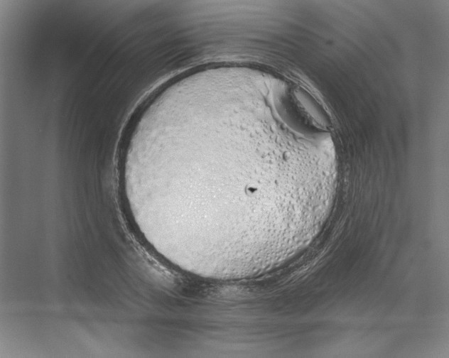 X0000068840787200606021707