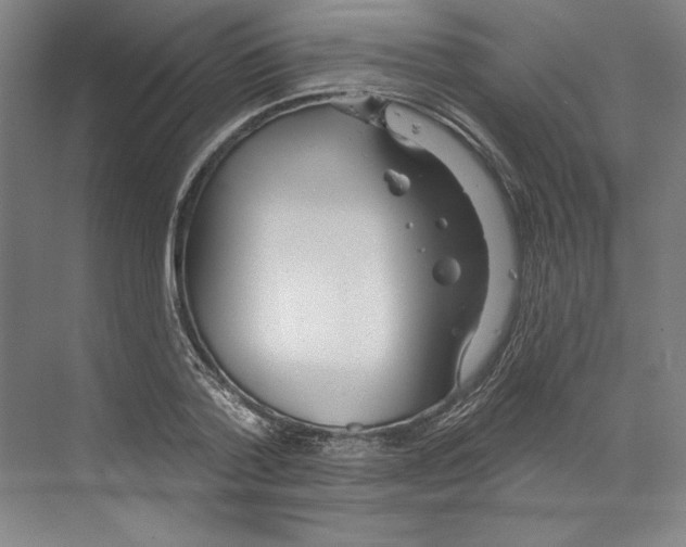 X0000068840788200606021707