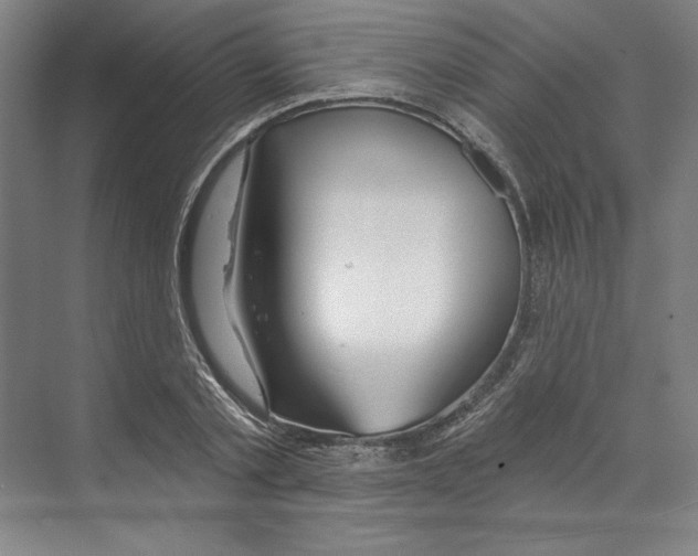 X0000068840789200606021707