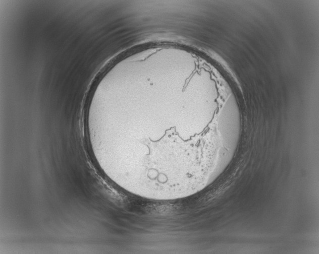 X0000068840791200606021707