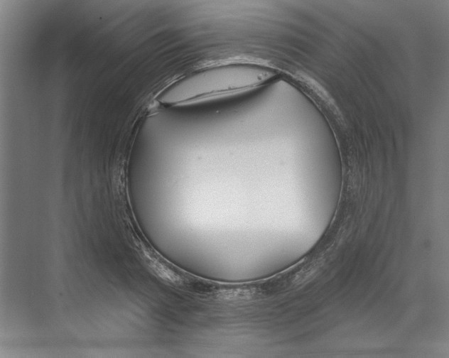 X0000068840793200606021707