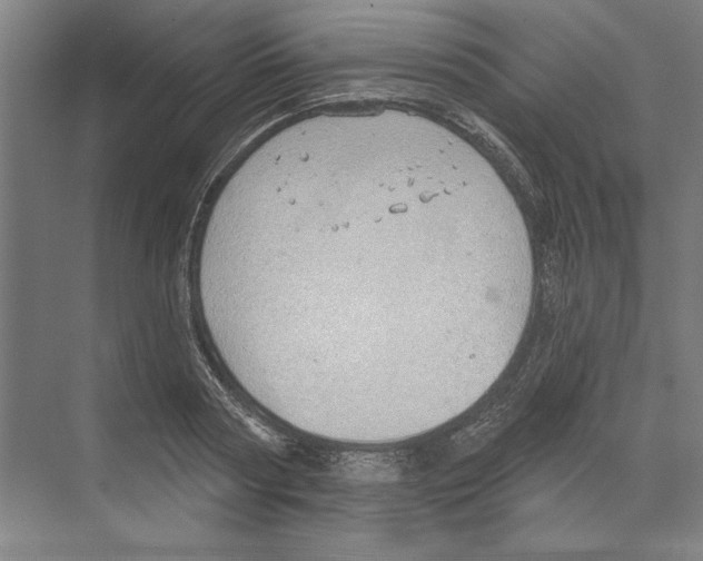 X0000068840794200606021707