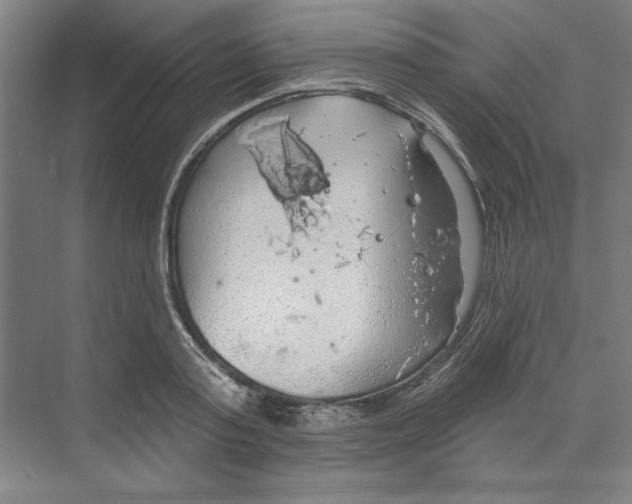 X0000068840795200606021707