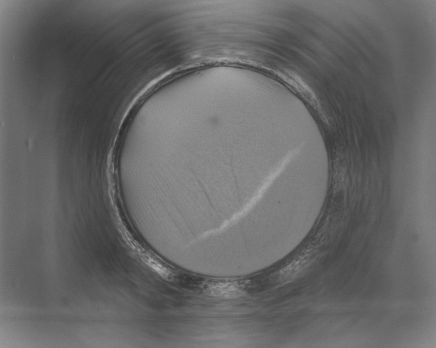 X0000068840798200606021707