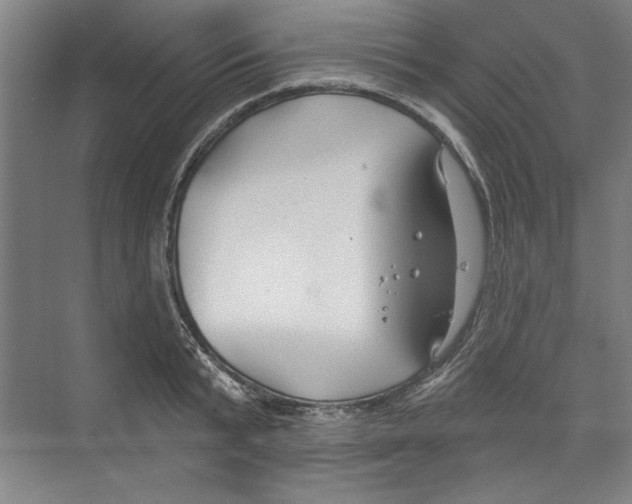 X0000068840799200606021707