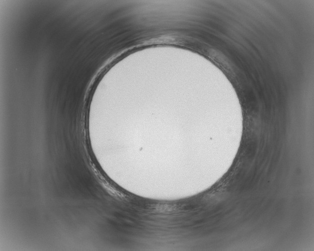 X0000068840800200606021707