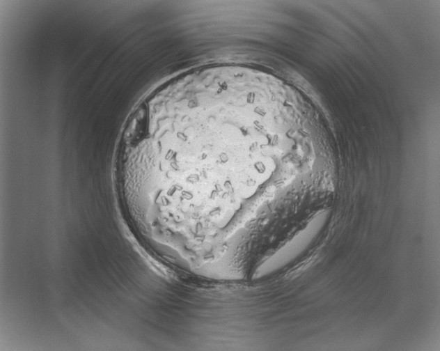 X0000068840803200606021707