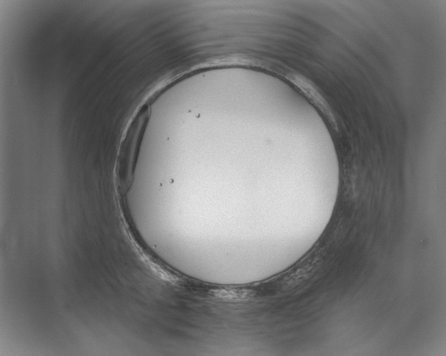 X0000068840805200606021707