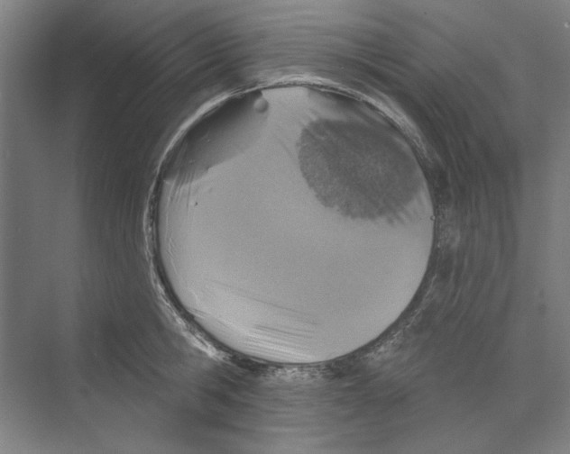 X0000068840806200606021707