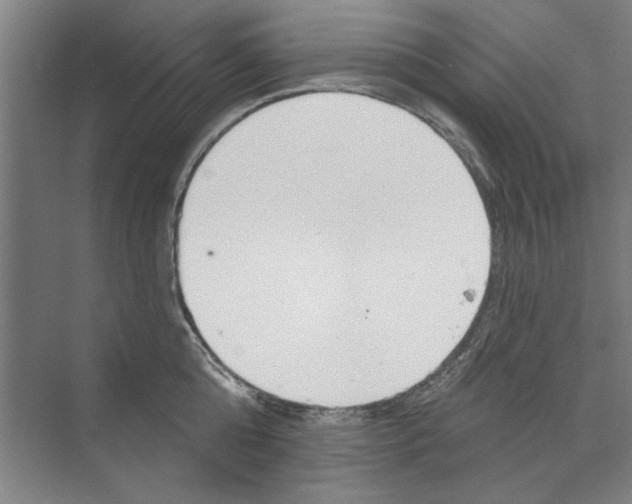 X0000068840808200606021707