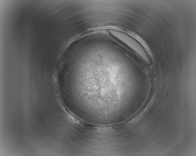 X0000068840809200606021707