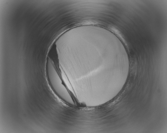 X0000068840810200606021707