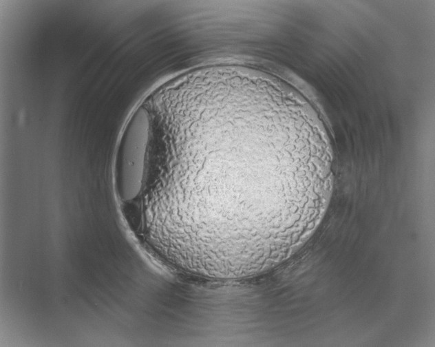 X0000068840811200606021707