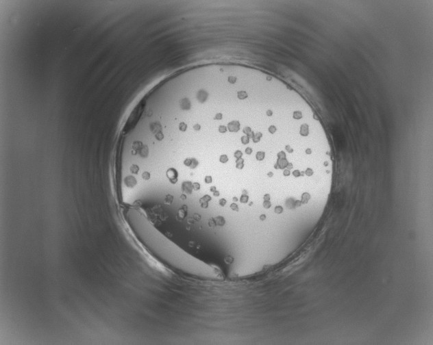 X0000068840812200606021707