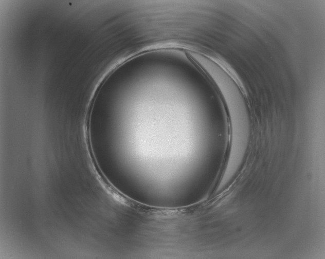 X0000068840813200606021707