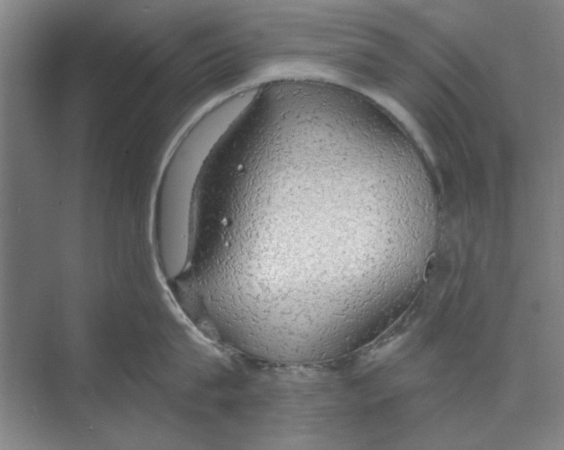 X0000068840815200606021707