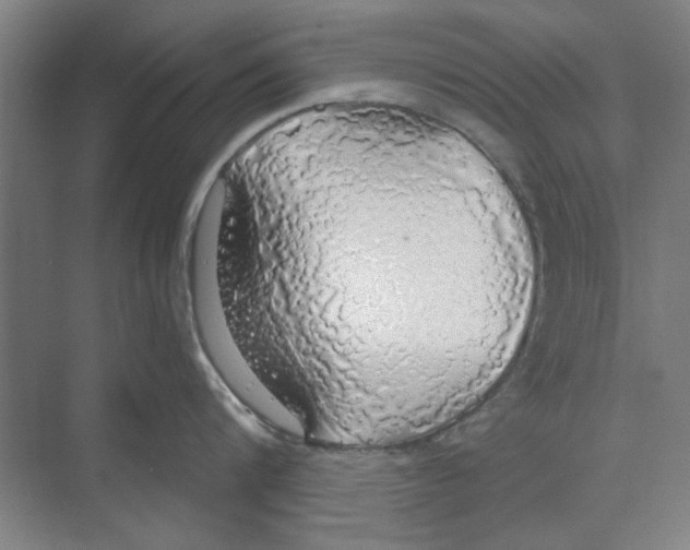 X0000068840816200606021707