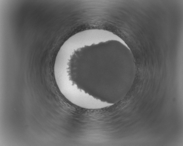 X0000068840817200606021706