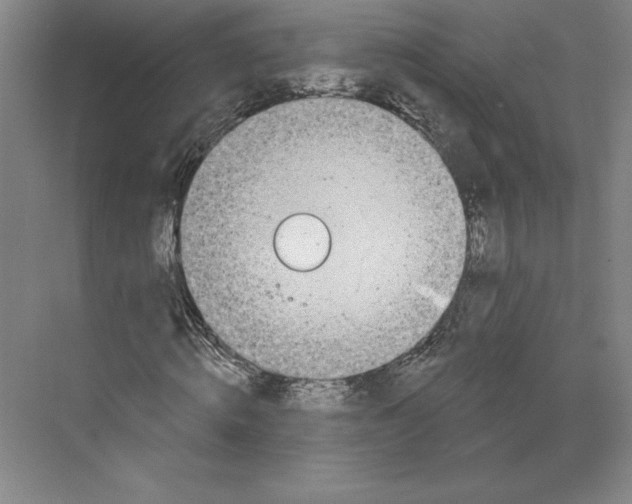 X0000068840820200606021706