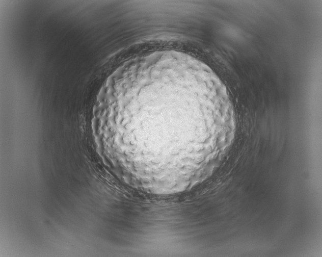 X0000068840821200606021706