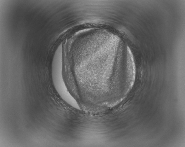 X0000068840822200606021706