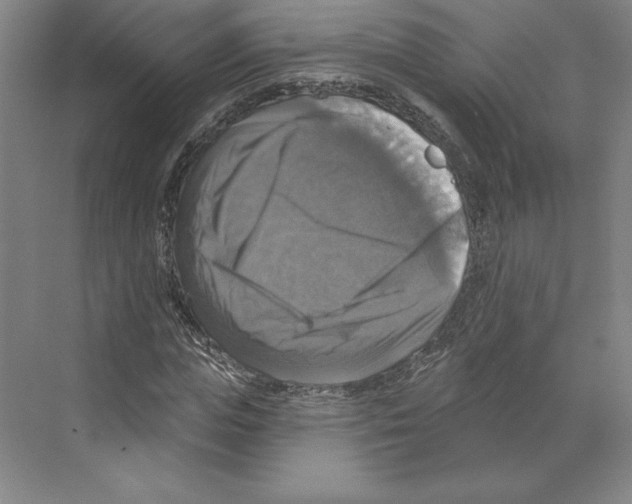 X0000068840823200606021706