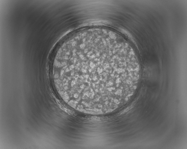 X0000068840827200606021706