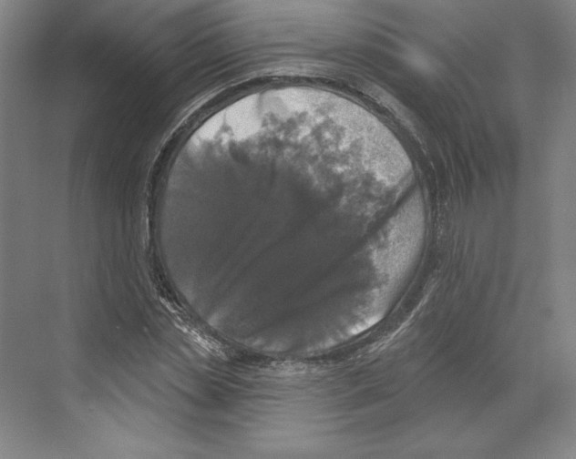 X0000068840829200606021706