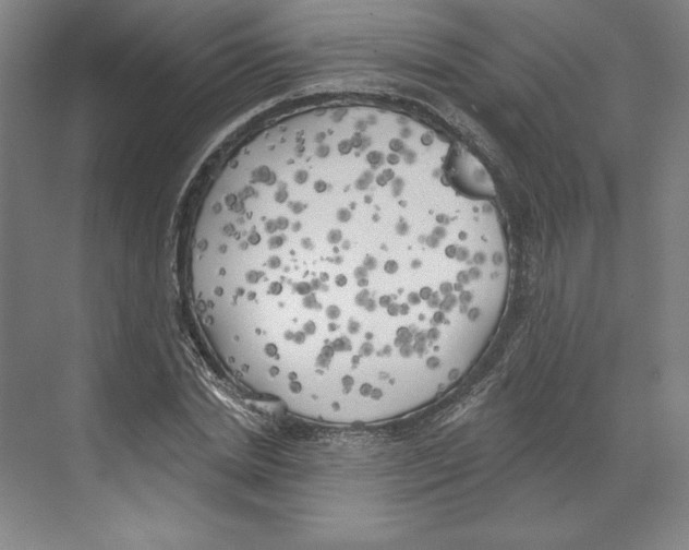 X0000068840830200606021706