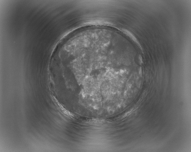 X0000068840831200606021706