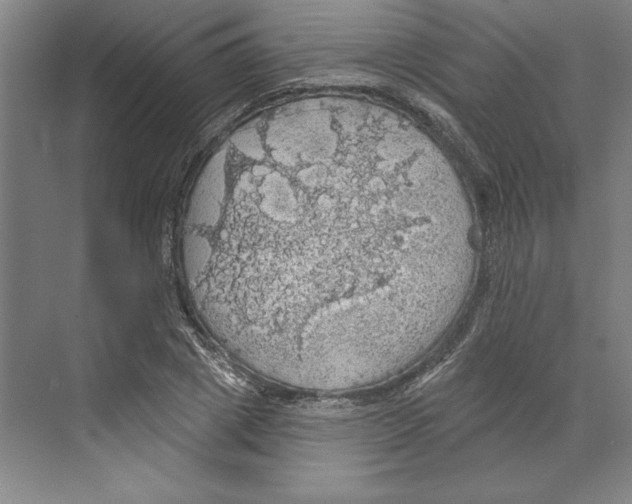 X0000068840833200606021706