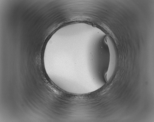 X0000068840834200606021706