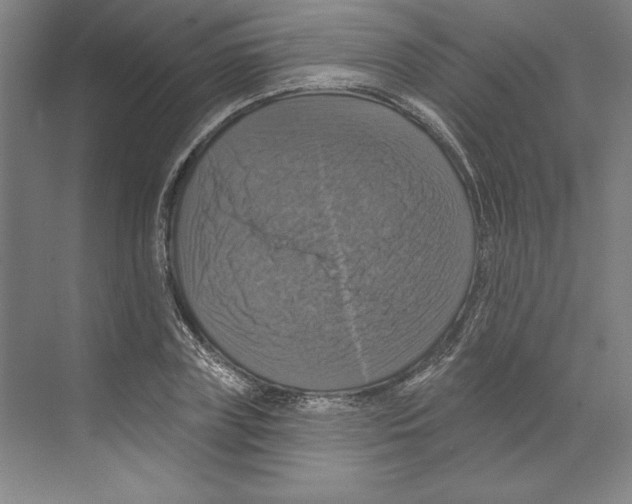 X0000068840835200606021706