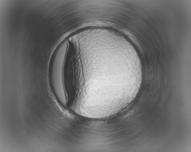 X0000068840837200606021706