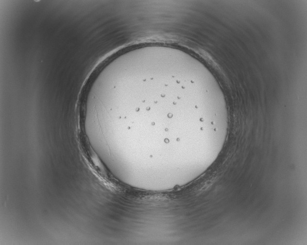 X0000068840838200606021706