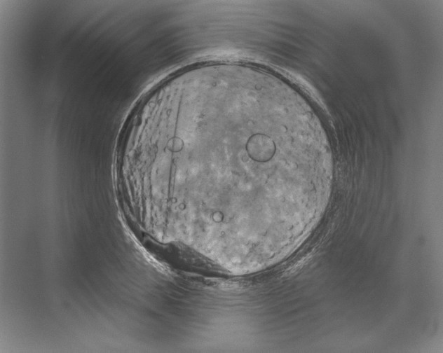 X0000068840839200606021706