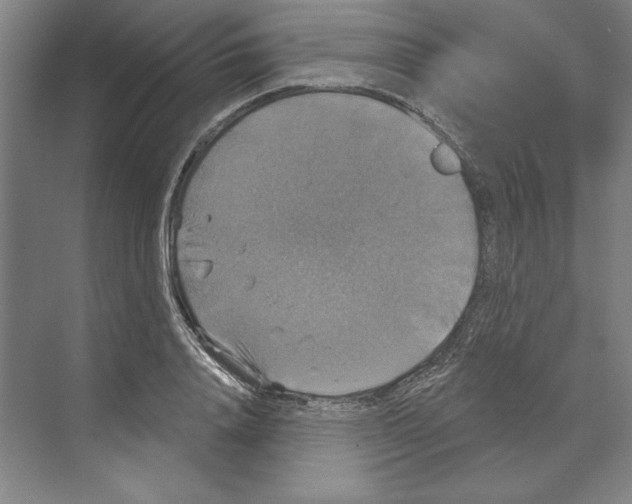 X0000068840840200606021706