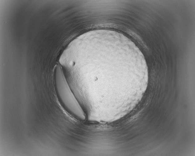 X0000068840841200606021707