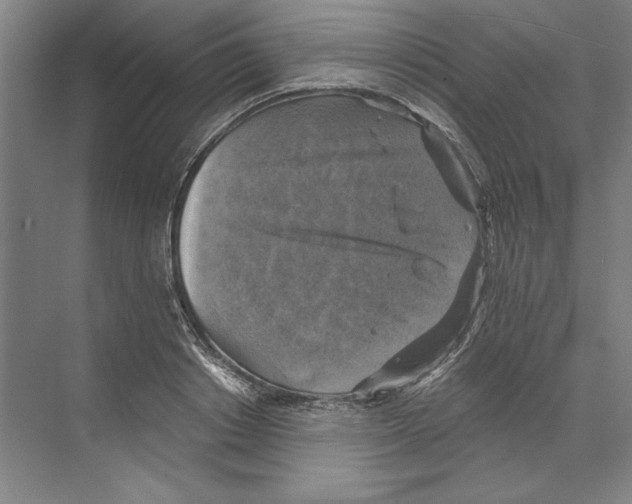 X0000068840842200606021707